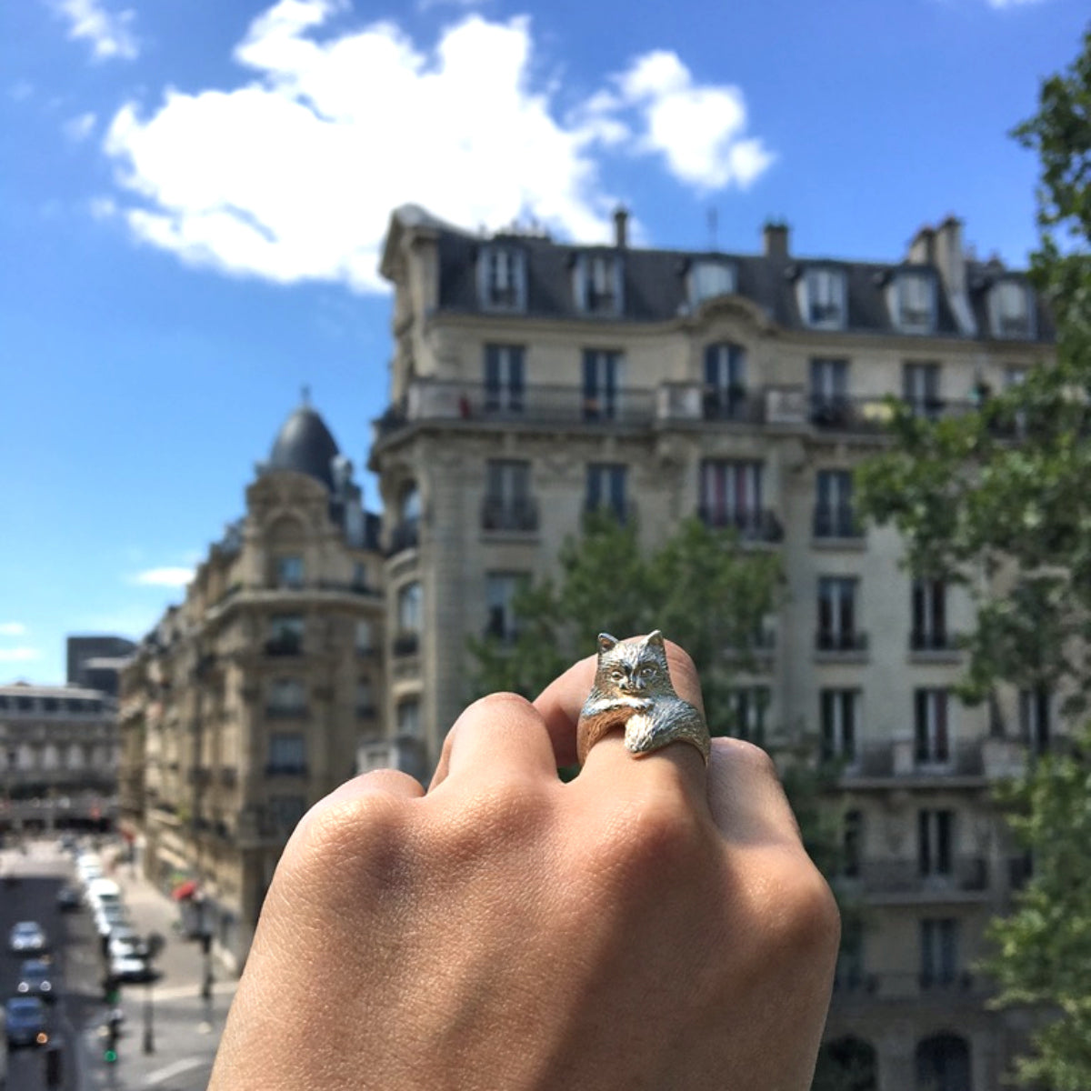 Sterling silver long-haired cat ring worn against Haussmann-style Paris architecture, highlighting the sculpted fur texture and curled tail. Artisan animal jewellery crafted in Paris.
