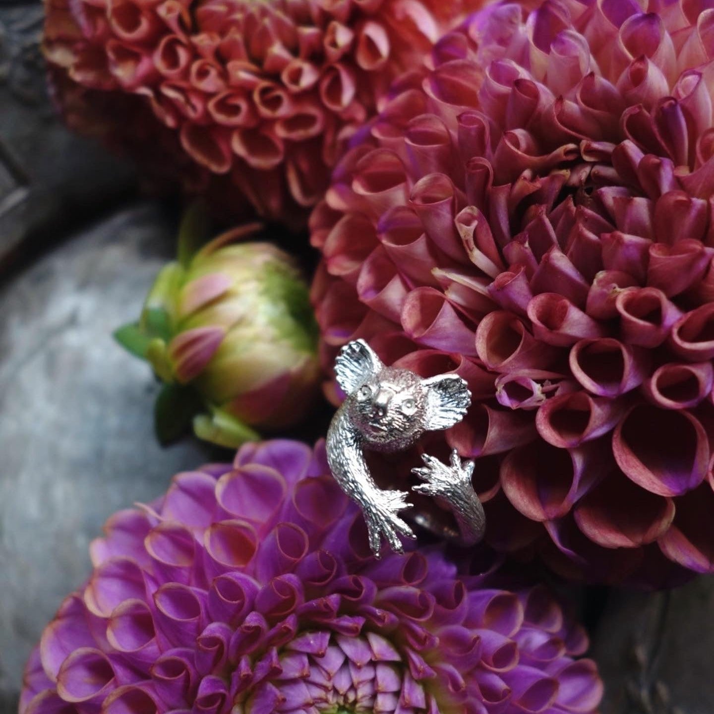 Silver koala ring photographed beside blooming dahlia flowers — poetic animal jewelry inspired by nature, handmade in Paris.