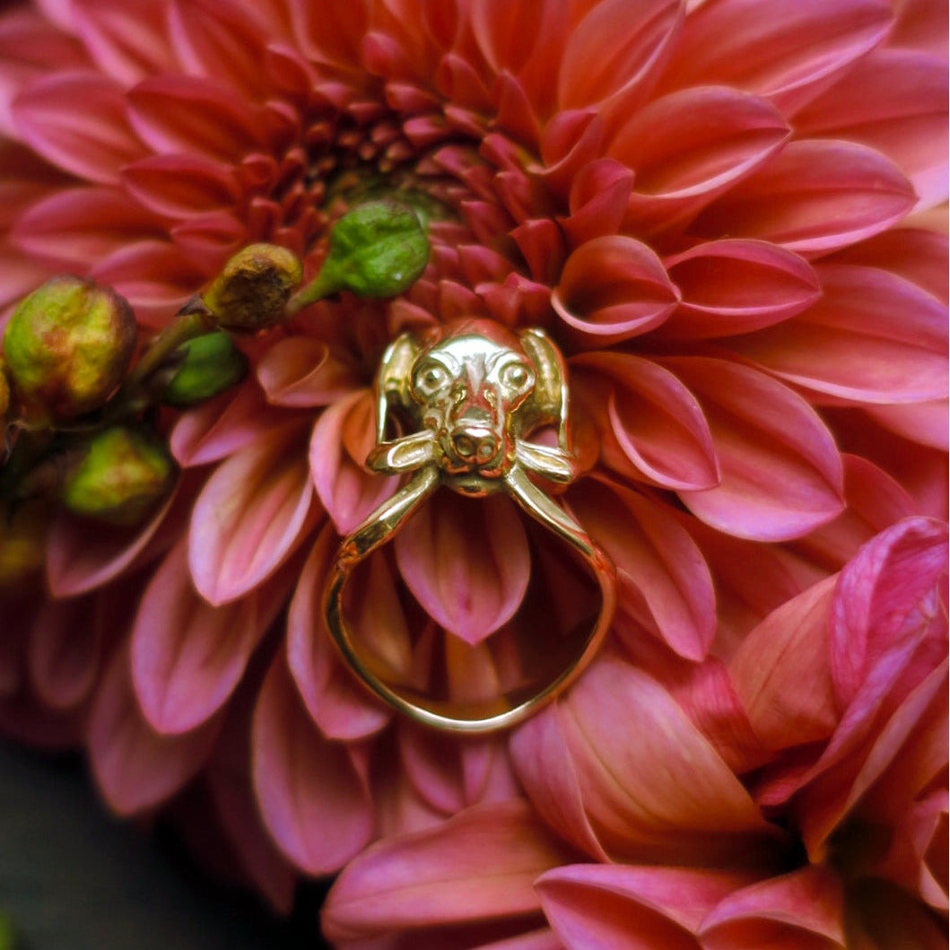 “Gift” dachshund dog ring / gold