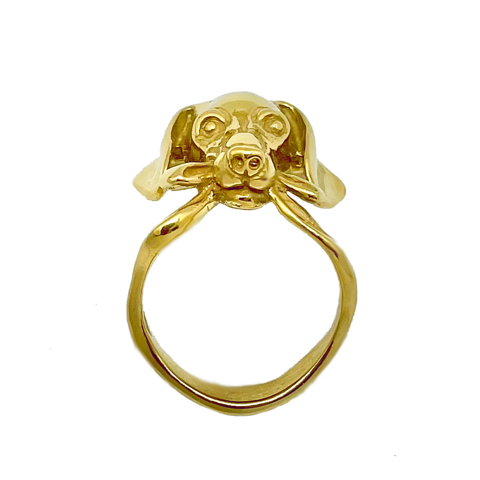 Front view of gold-plated silver dog ring with refined facial details — reminiscent of Weimaraner, Beagle, and Doberman; handcrafted by Fusako Koike Paris.