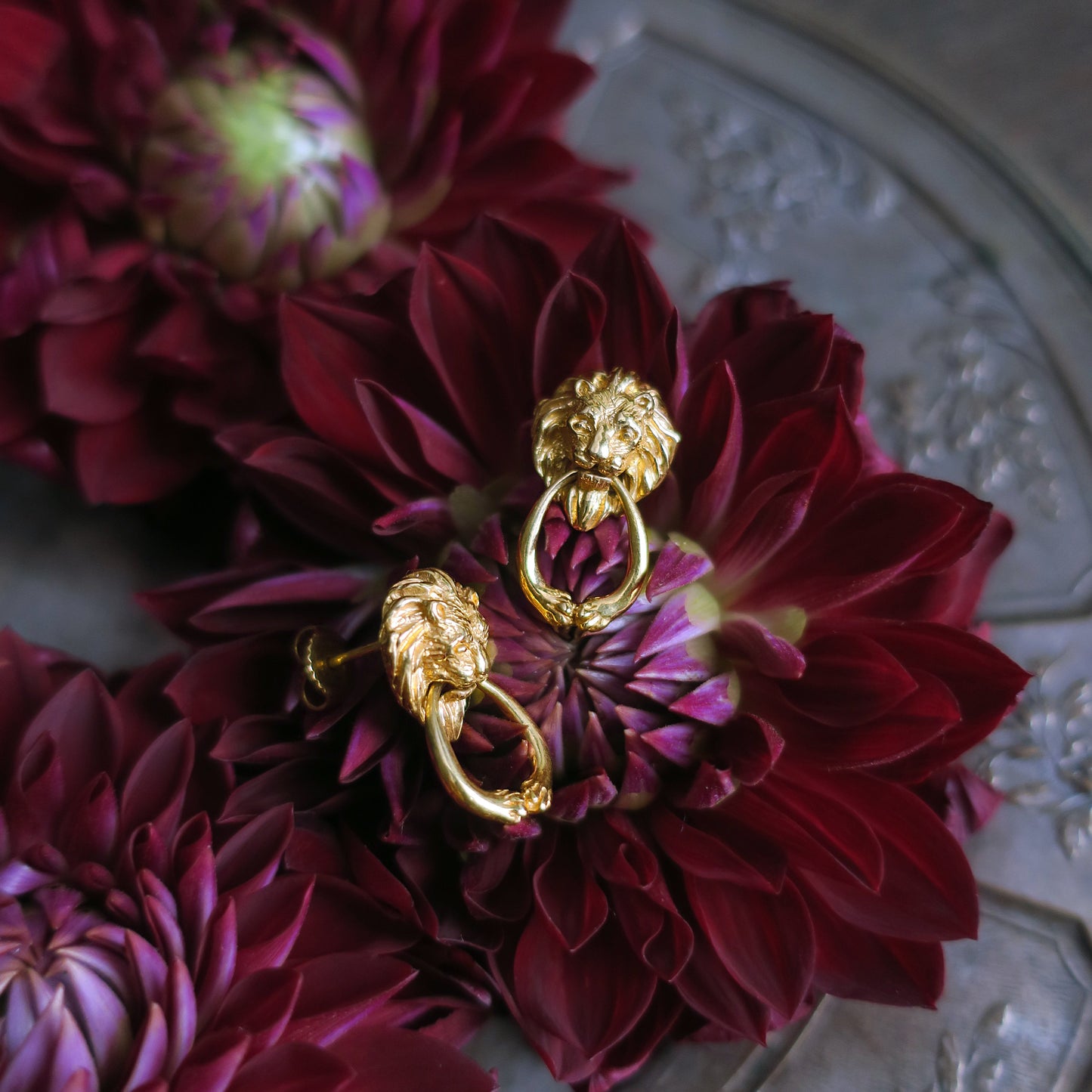 " Heurtoir" lion piercings/ gold