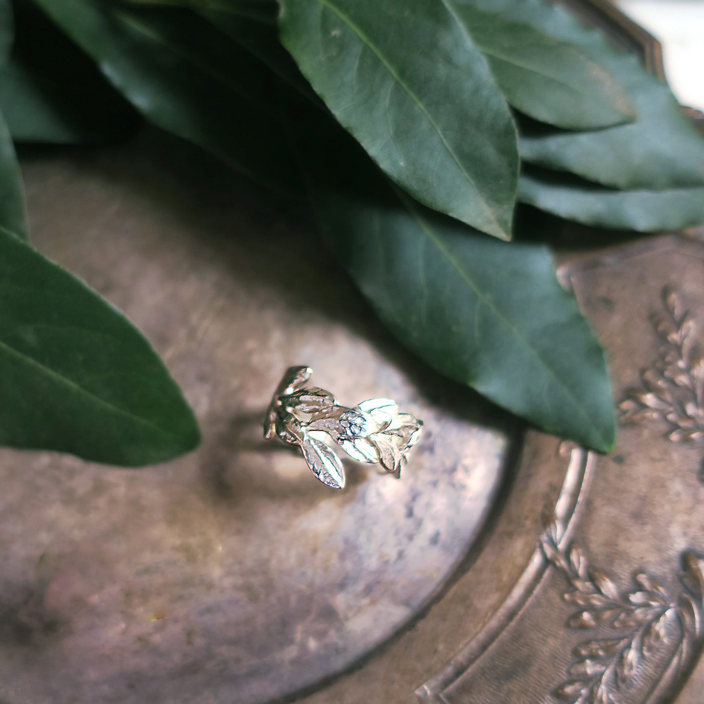 Botanical sterling silver laurel ring photographed with natural greenery, emphasizing its organic sculptural design. Paris-made artisan jewellery inspired by nature.
