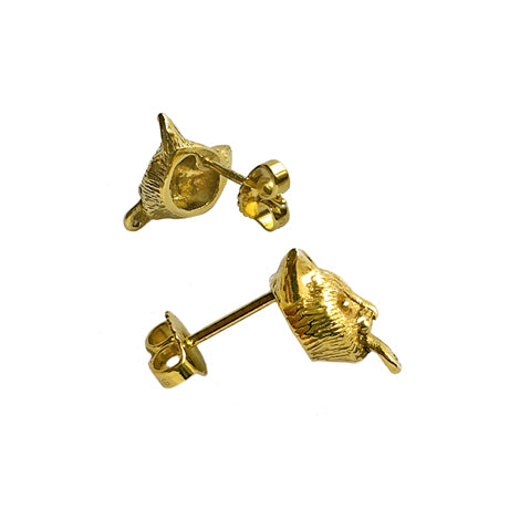 " Kennedy " cat piercings / gold