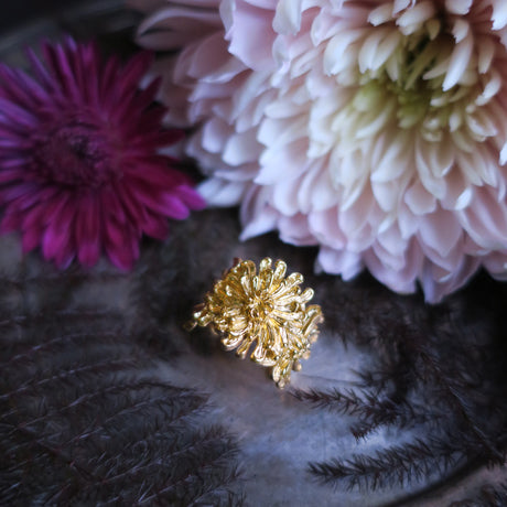 RSK01GP-order-saphir-web