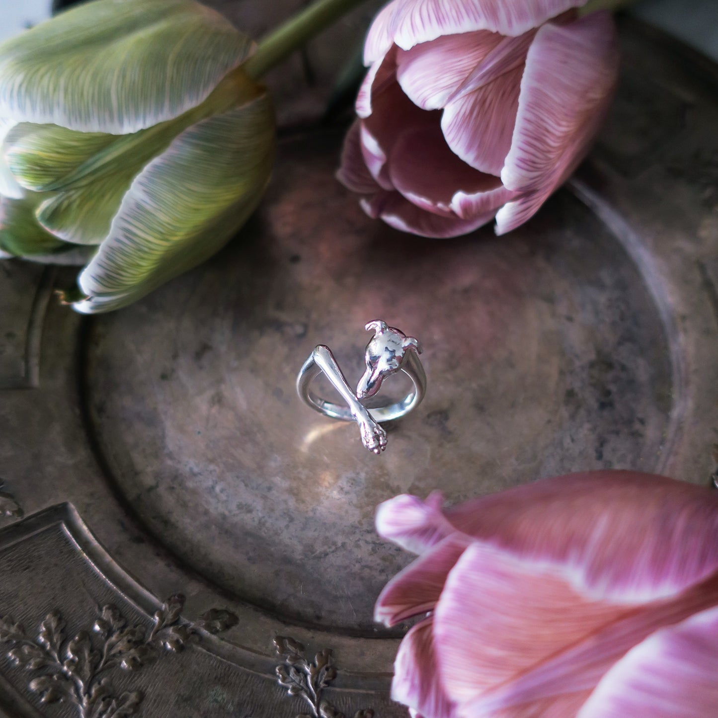 Sterling silver sighthound ring inspired by Italian Greyhounds and Whippets, photographed among soft pink and green tulips. Paris-made artisan animal jewelry with a graceful, elongated silhouette.