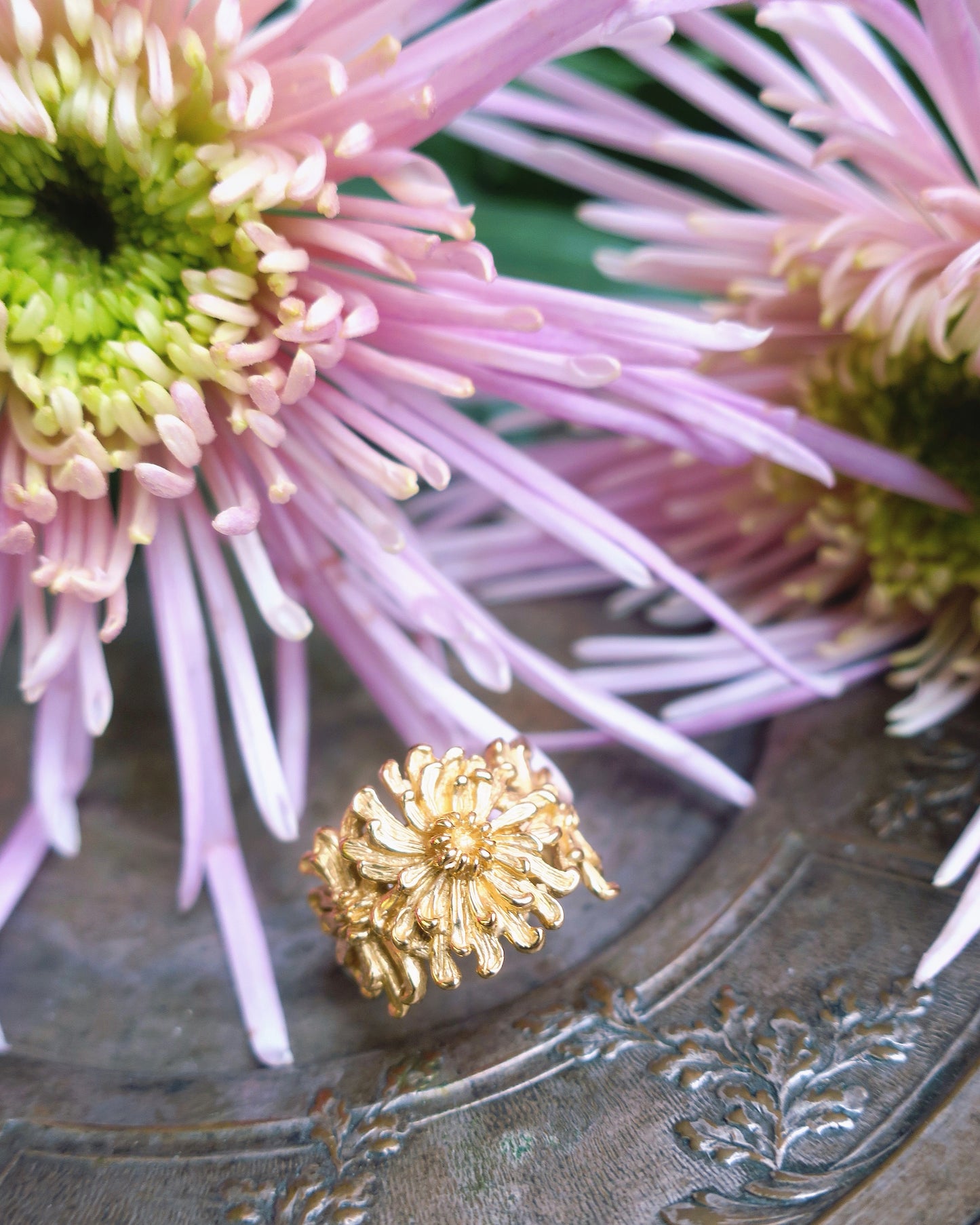 Chrysanthemums ring / gold